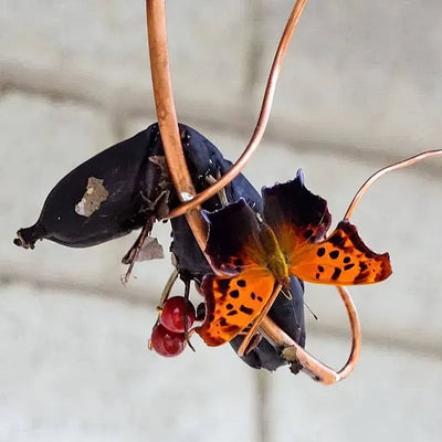 🦋Butterfly Banana Hammock-Butterfly Feeder