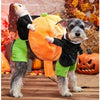 Chucky Pet Costume - Move The Pumpkin