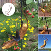 🦋Butterfly Banana Hammock-Butterfly Feeder