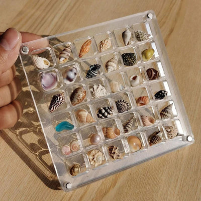 Acrylic Magnetic Seashell Display Box