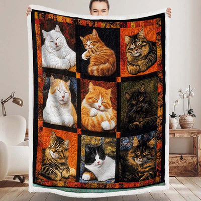 Sleeping Cat Collection Blanket - D251 - Premium Blanket