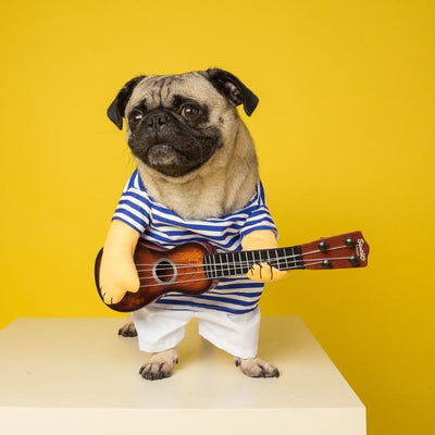 Chucky Pet Costume - Guitar