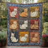 Sleepy Cat Haven Blanket - H222 - Premium Blanket