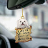 Maltese Get In Ornament GI018