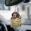 German Shorthaired Pointer Get In Ornament GI041