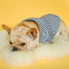 Luxury Dog Cozy Pajamas