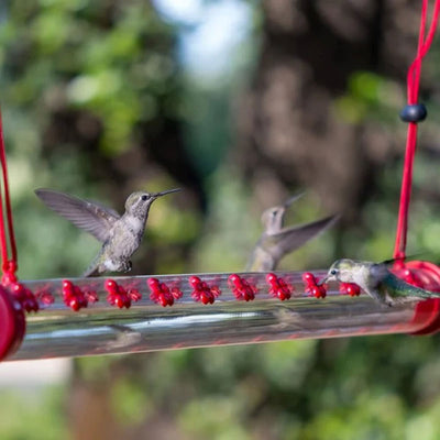 Bob’s Best Hummingbird Feeder