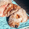 Cooling Summer Pet Mat