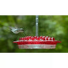 Mary's Hummingbird Feeder with Perch and Built-in Ant Moat