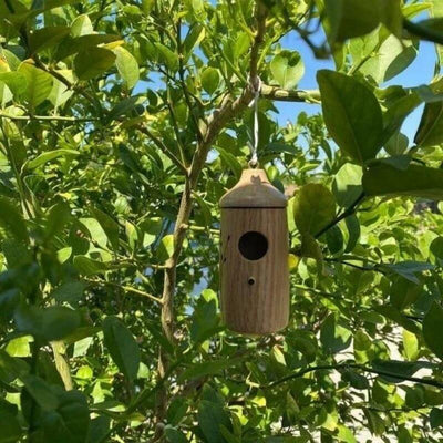 Wooden Hummingbird House - Gift for Nature Lovers