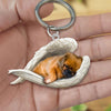 Sleeping Angel Acrylic Keychain Pekingese SA131