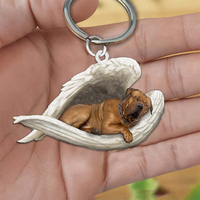 Sleeping Angel Acrylic Keychain Tosa SA185