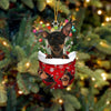 Miniature Pinscher In Snow Pocket Christmas Ornament SP049