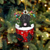 Flat Coated Retriever In Snow Pocket Christmas Ornament SP134