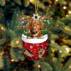 Nova Scotia Duck Toller In Snow Pocket Christmas Ornament SP135