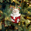 Cat In Snow Pocket Christmas Ornament SP177