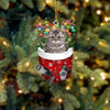 Cat In Snow Pocket Christmas Ornament SP188