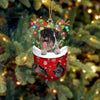 Standard Schnauzer In Snow Pocket Christmas Ornament SP276