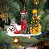 Oriental Shorthair Cat Christmas Ornament SM188