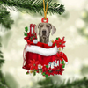 Weimaraner In Gift Bag Christmas Ornament GB103