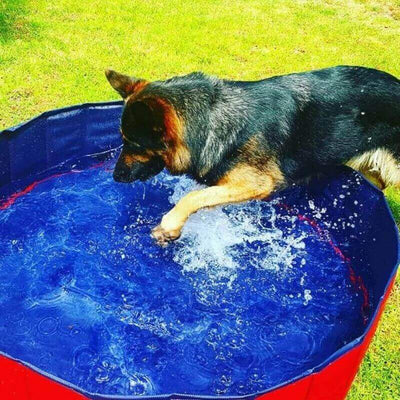 Portable Pool