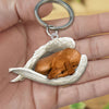 Sleeping Angel Acrylic Keychain Vizsla