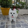 West Highland White Terrier Planter AP009