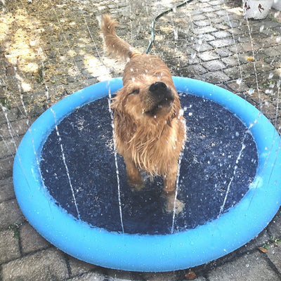 Dog Splash Sprinkler Pad