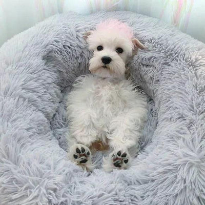 Fluffy Cat Calming Bed