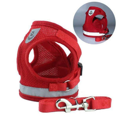 Reflective Safty Harness and Leash Set